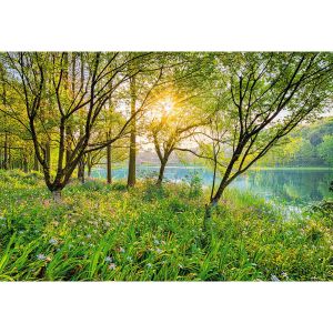 Doğa manzaralı Komar Duvar Posteri 8-524 Spring Lake