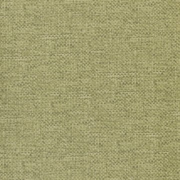 1623-8 Anka Duvar Kağıdı-düz-yeşil-renk