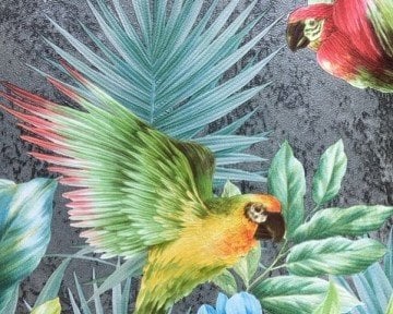 Tropicano 9905-4-gri zemin-yeşil-papağan kuşlu-modelli-ithal duvar kağıtları toptancı-Fon-toptancısı-ithal duvar kağıtları toptancı