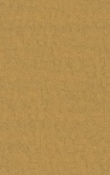 ithal Hollanda BN Van Gogh duvar kağıdı 220084-desensiz-bej renkli-doğal-dokulu-Non woven tabanlı,Rulo Ebatı: 10,05 x 0,53 m