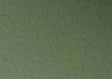İthal Hollanda BN Van Gogh duvar kağıdı 220079-desensiz yeşil renkli-yüzeyi dokulu-doğaebilir. Non woven tabanlı,Rulo Ebatı: 10,05 x 0,53 m