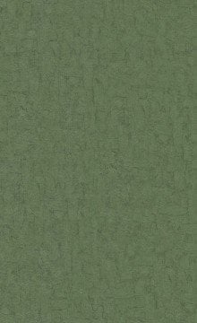 İthal Hollanda BN Van Gogh duvar kağıdı 220079-desensiz yeşil renkli-yüzeyi dokulu-doğaebilir. Non woven tabanlı,Rulo Ebatı: 10,05 x 0,53 m