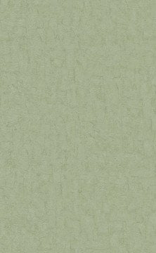 İthal Hollanda BN Van Gogh duvar kağıdı 220073-uçuk yeşil renkli-dokulu-desensiz-doğal.Non woven tabanlı-Rulo Ebatı: 10,05 x 0,53 m